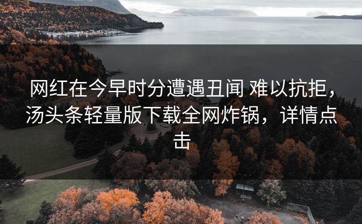 网红在今早时分遭遇丑闻 难以抗拒，汤头条轻量版下载全网炸锅，详情点击