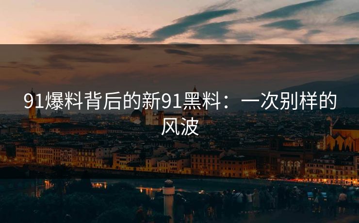 91爆料背后的新91黑料：一次别样的风波