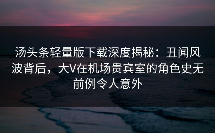 汤头条轻量版下载深度揭秘：丑闻风波背后，大V在机场贵宾室的角色史无前例令人意外